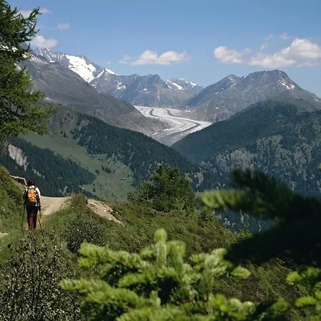 Apartamento Karlini *